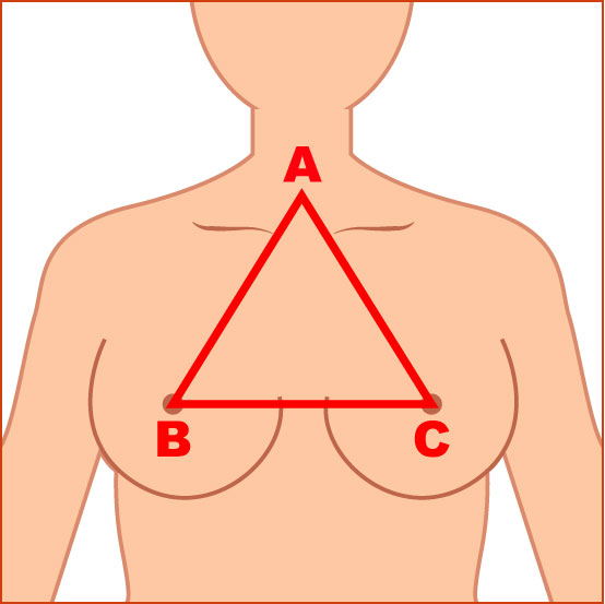 バストの理想的な正三角形の図